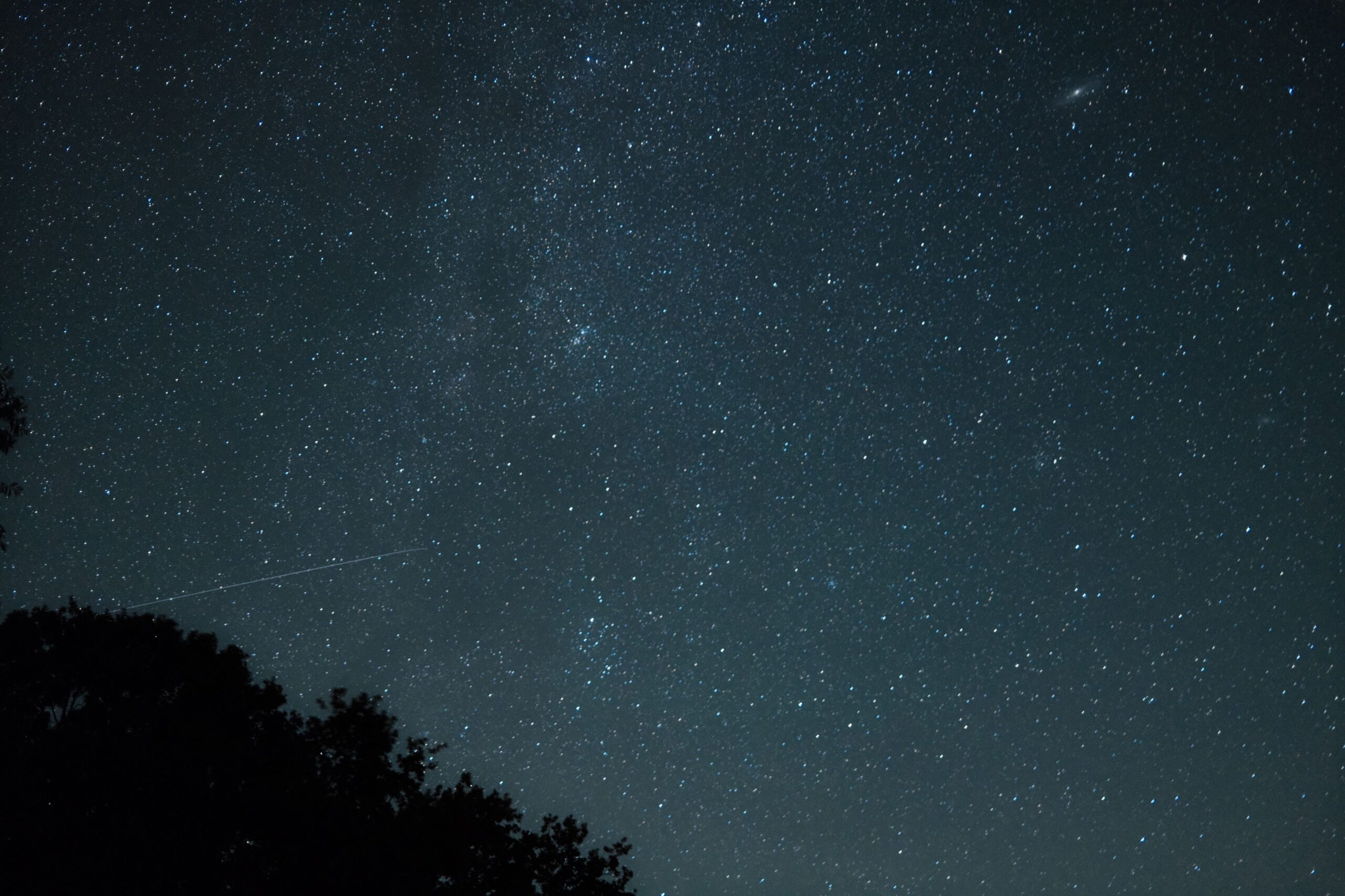 A beautiful night sky full of stars captured over the trees in Germany.